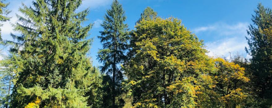 Maple Ridge Park