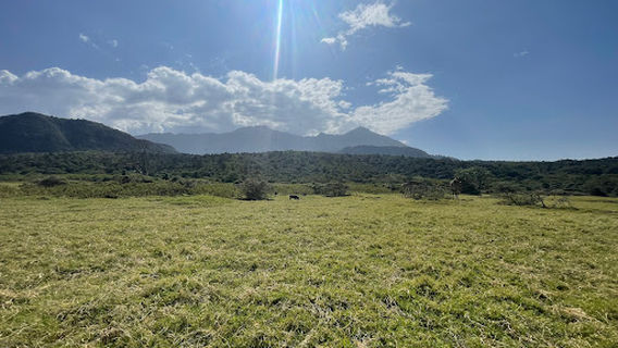 Arusha National Park Gate