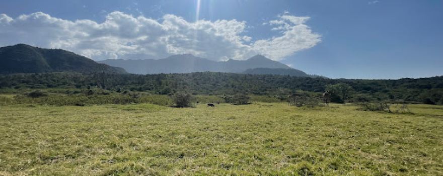 Arusha National Park Gate