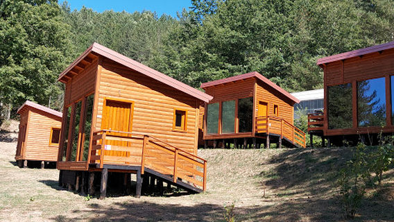 Museo d'Arte Del Bosco Della Sila