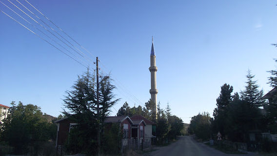 Cami