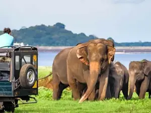 Udawalawe National Park
