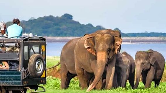 Parc national d'Uda Walawe