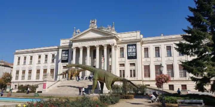 莫拉·弗朗茨博物館