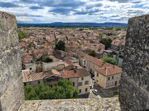 Tarascon Castle