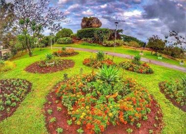 Vitória