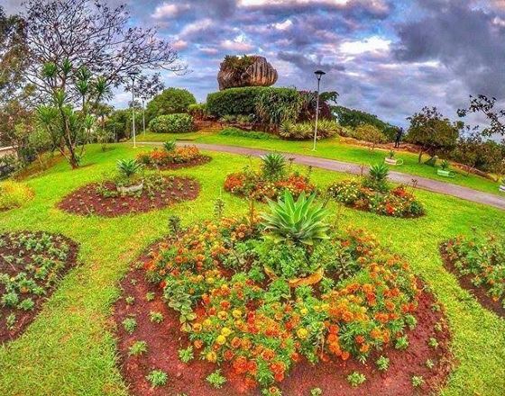 維多利亞 自由行套票