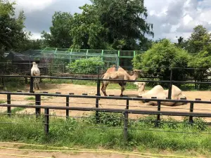 Rivne Zoo