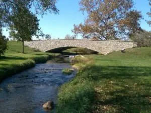 Coffman Park