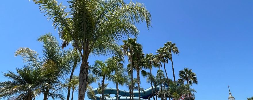 Knott's Soak City