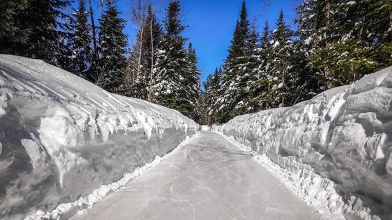 Domaine Enchanteur, au Domaine de la Forêt Perdue