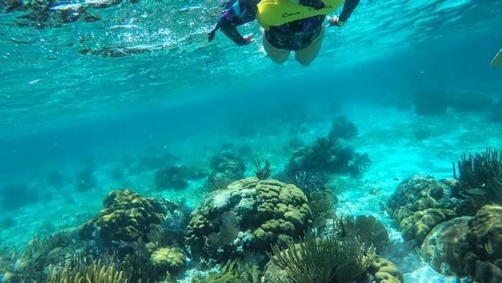 Hol Chan Marine Reserve