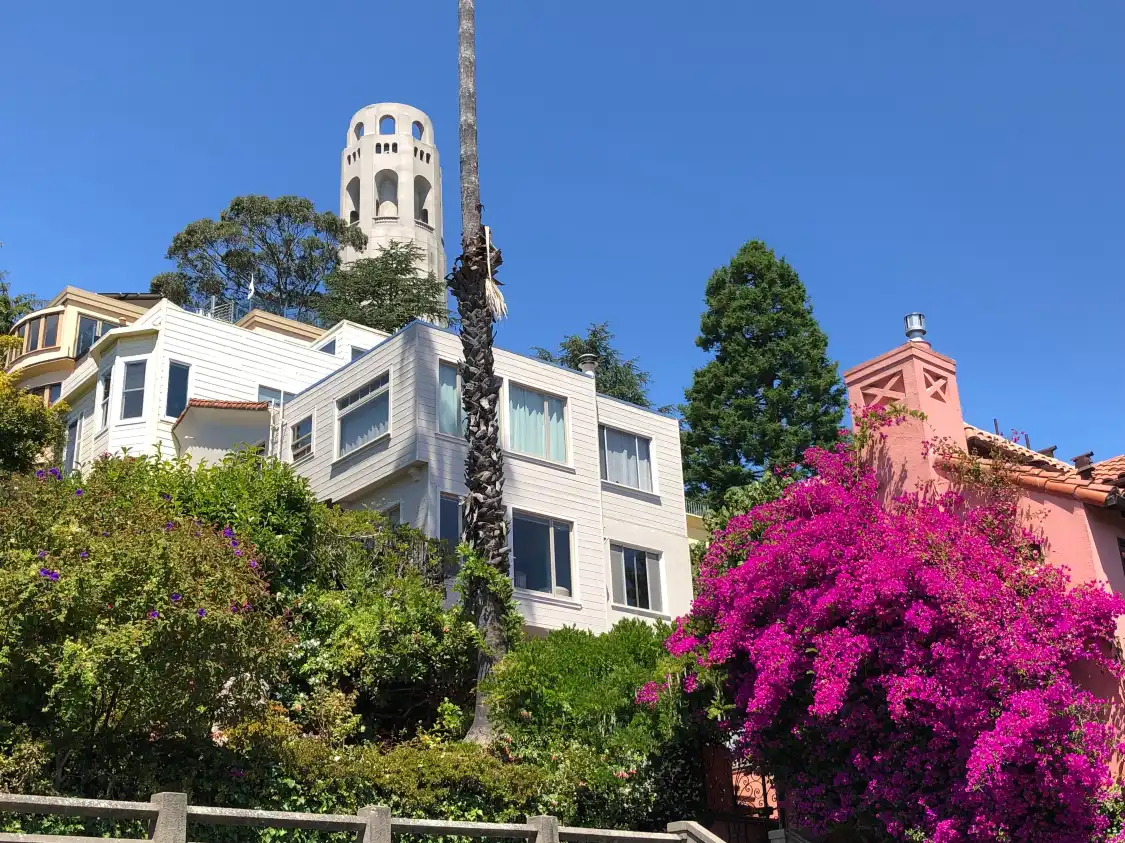 Hotels near Filbert St