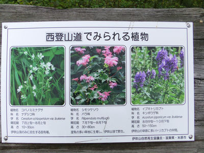 Mount Ibuki