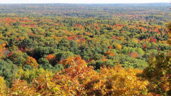 Bradbury Mountain State Park