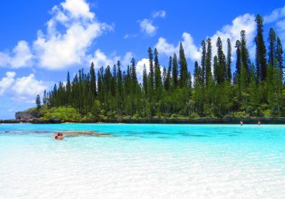 Natural pool