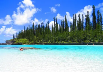 Natural pool