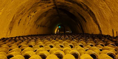 泰廷爵香檳酒莊