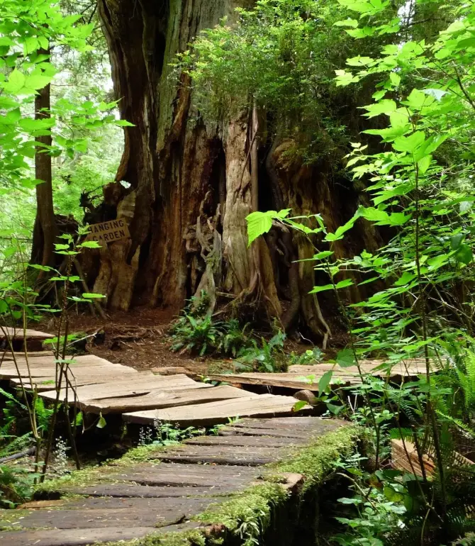 Alberni-Clayoquot C