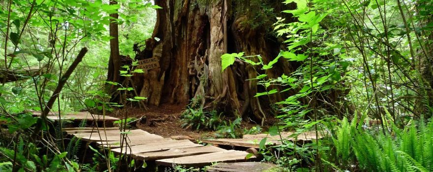 Alberni-Clayoquot C