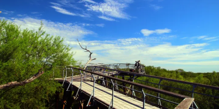 World Birding Center