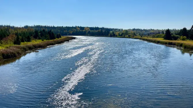 5_Kerry Wood Nature Centre