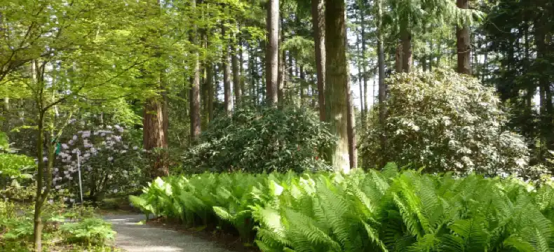 Hotels in Federal Way