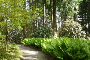 Federal Way
