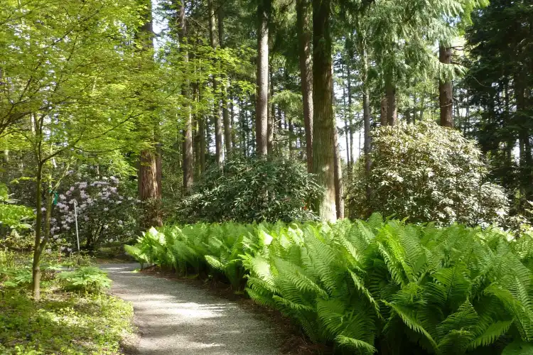 Các khách sạn gần Federal Way Community Center