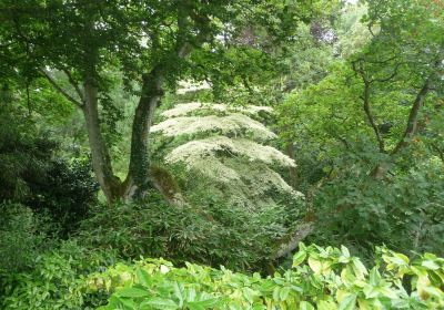 Wild Subtropical Garden