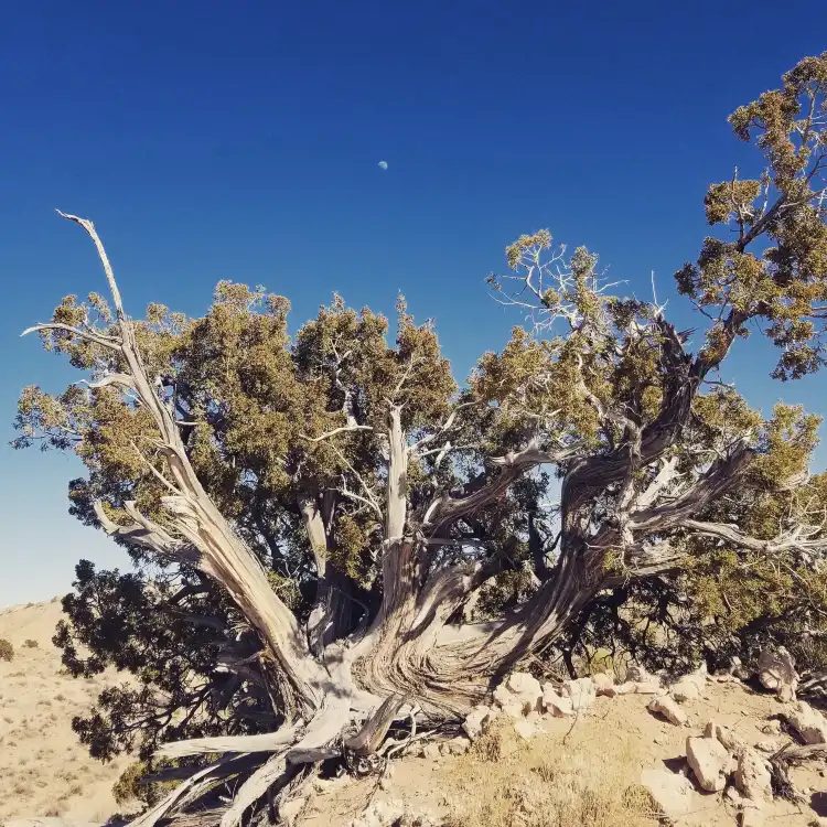 Hôtels à : Los Lunas