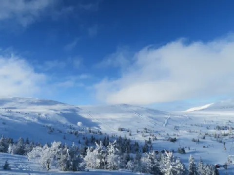 Trysil