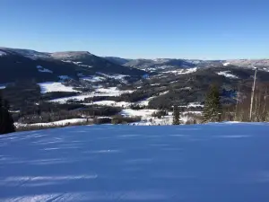 Skihurdal