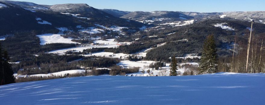 Skihurdal