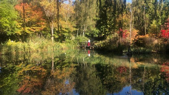 Red Cow Farm - Open Garden