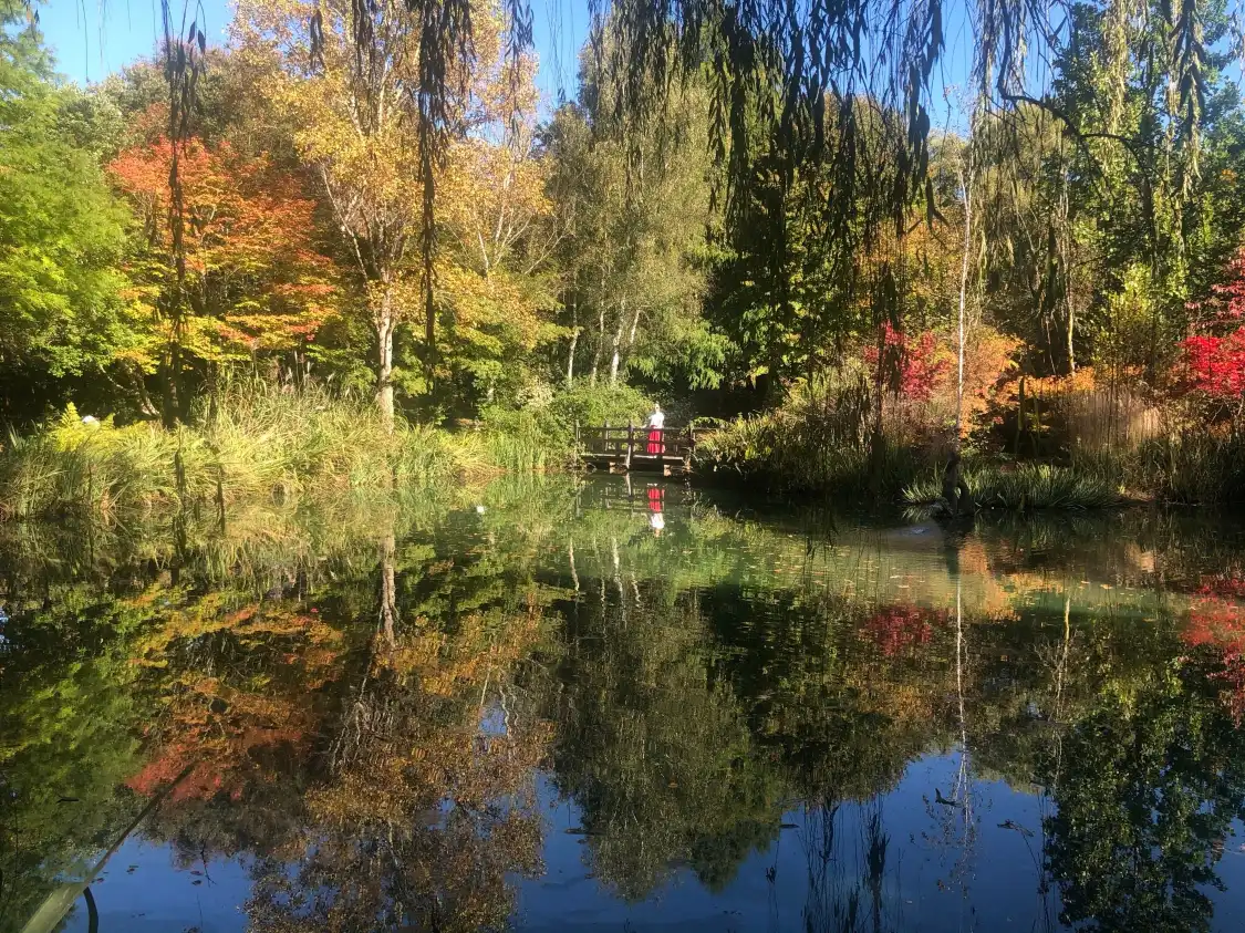 紅牛農場附近的飯店