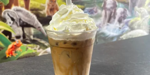 Aladdin's Kingdom Play Centre