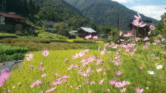 Tanada to Itakura no Fukei