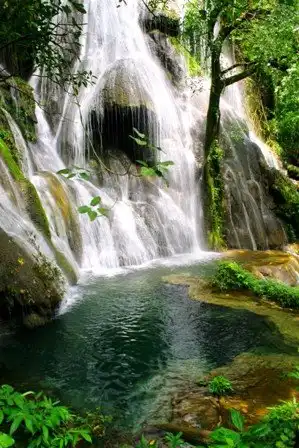 Hotels in Bodoquena
