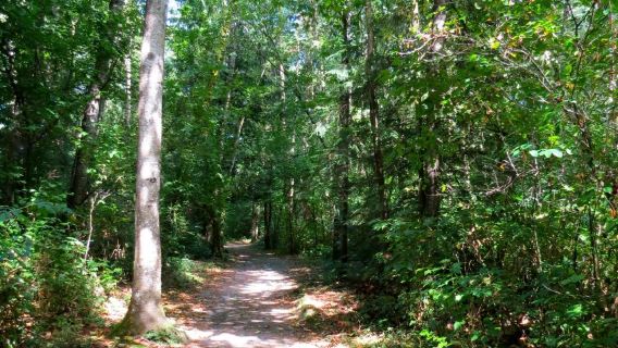 Aldergrove Regional Park