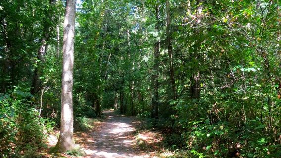 Aldergrove Regional Park