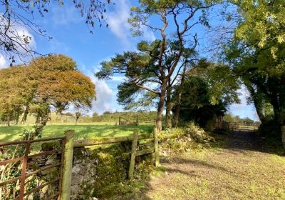 County Westmeath