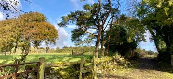 Hotels in County Westmeath, Ireland