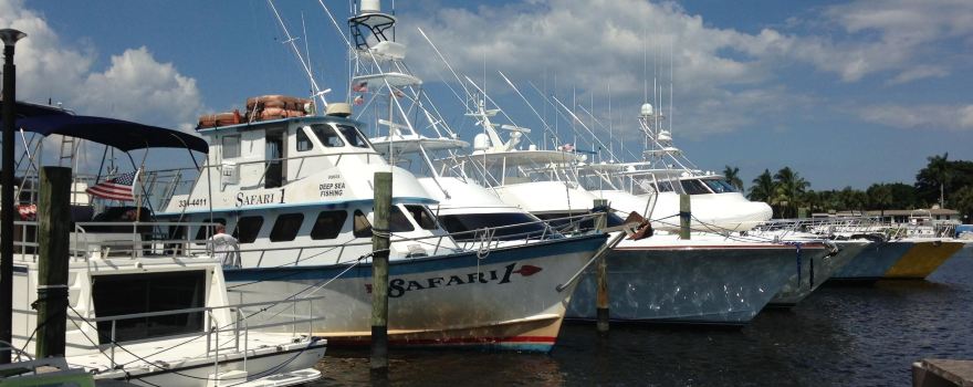 Safari 1 - Deep Sea Fishing