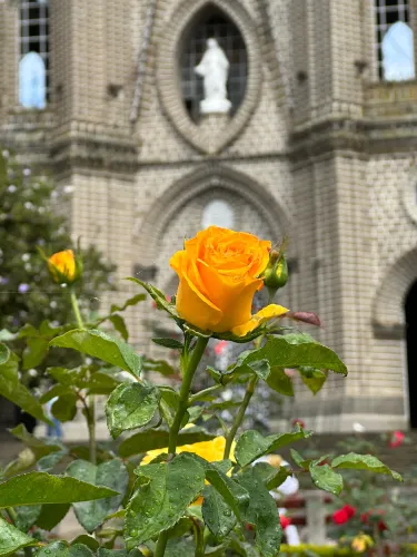 Jardín