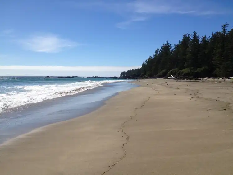 Hotels in Mount Waddington C