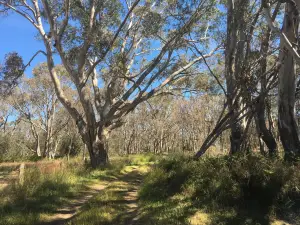 Apsley Bushland Reserve