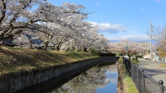 Tatsuokajō Castle Ruins (Goryokaku)