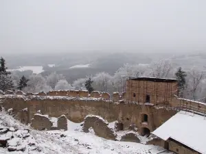 The Zborov Castle