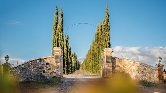 CORTE PAVONE - Brunello di Montalcino Winery